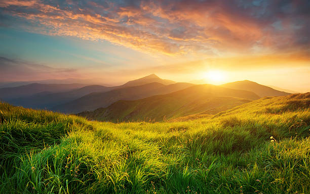 istockphoto-517188688-612x612-2