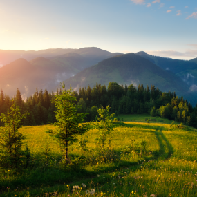 kartinka-na-sajt_284