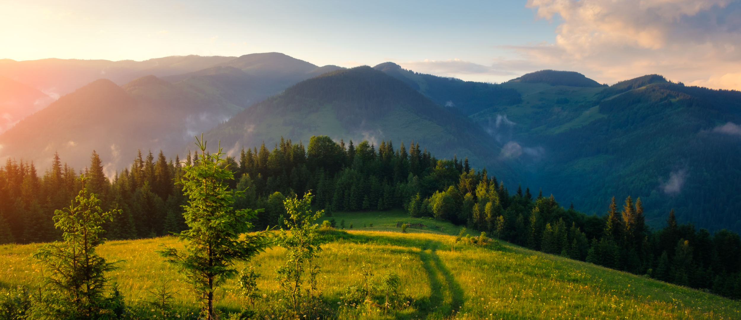 kartinka-na-sajt_slajder-kopiya